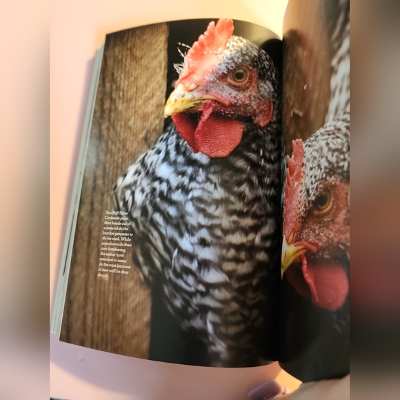 The Joy of Keeping Chickens book - Picture 4 of 4